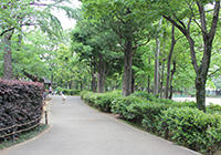 「公園と犬と幻の飛行場」【高円寺 となりの歴史散歩 第二回】