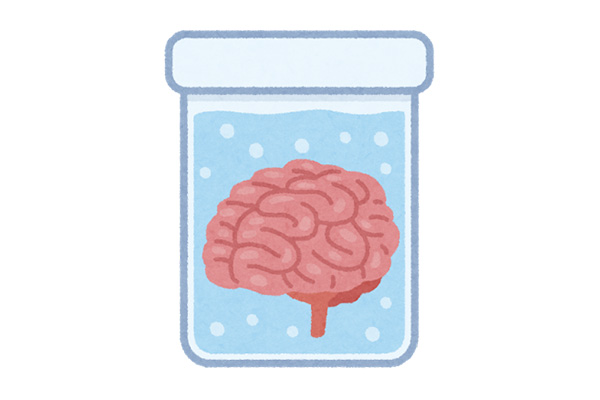 水槽の脳